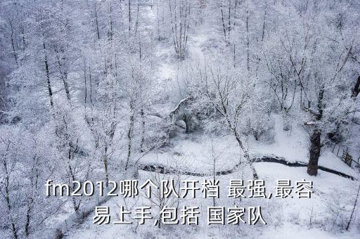 fm2012哪個隊開檔 最強,最容易上手,包括 國家隊
