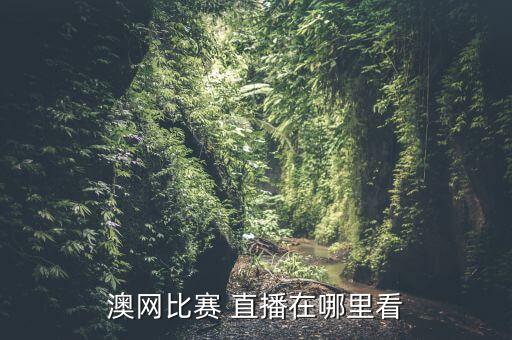 澳甲哪個平臺有直播,澳網(wǎng):你想不到的高清視頻沒有你看不到