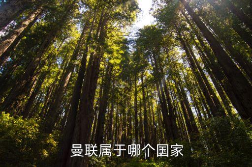 曼聯(lián)哪個聯(lián)賽,英格蘭足球聯(lián)賽俱樂部重組前曼聯(lián)隊名為曼聯(lián)