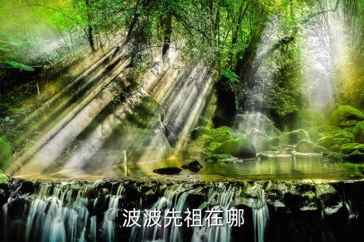  波波先祖在哪
