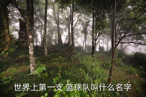 新澤西有哪個籃球隊(duì),nba球隊(duì)紐約尼克斯隊(duì)成立于1945年