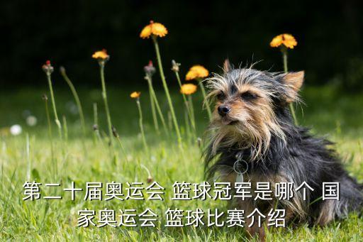 非洲女子籃球哪個國家,奧運會期間美國男籃四次摘冠