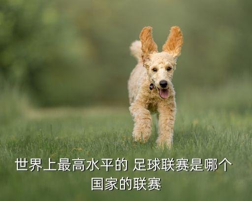 世界上最高水平的 足球聯(lián)賽是哪個(gè) 國家的聯(lián)賽