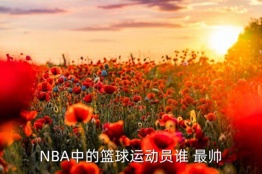 NBA中的籃球運(yùn)動(dòng)員誰 最帥
