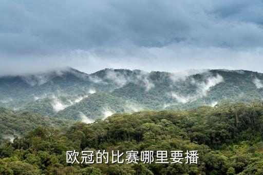 歐冠淘汰賽哪個(gè)臺(tái)直播,歐冠決賽5月在莫斯科舉行