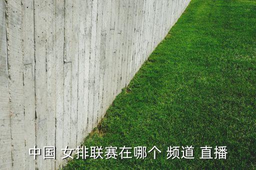 中國 女排聯(lián)賽在哪個 頻道 直播