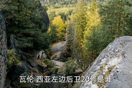 瓦倫 西亞左邊后衛(wèi)20號是誰