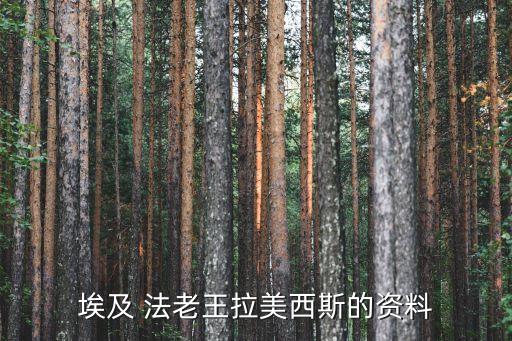 埃及 法老王拉美西斯的資料