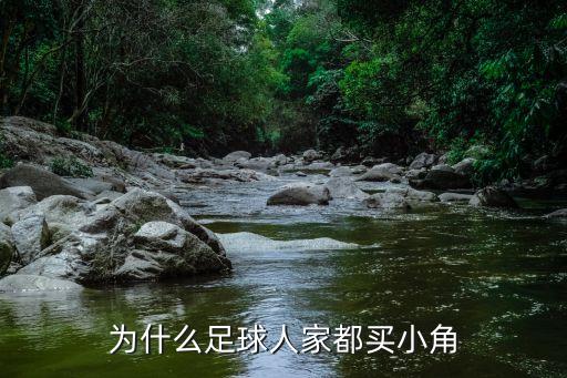 為什么足球人家都買小角