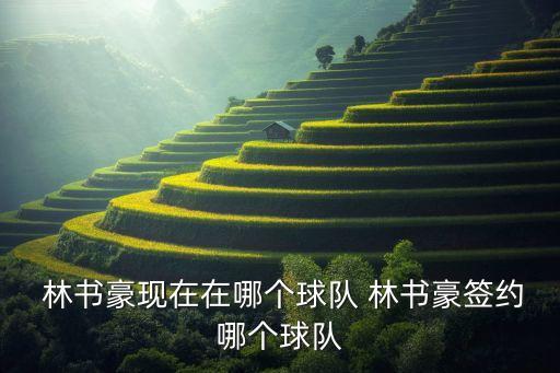  林書豪現(xiàn)在在哪個(gè)球隊(duì) 林書豪簽約哪個(gè)球隊(duì)