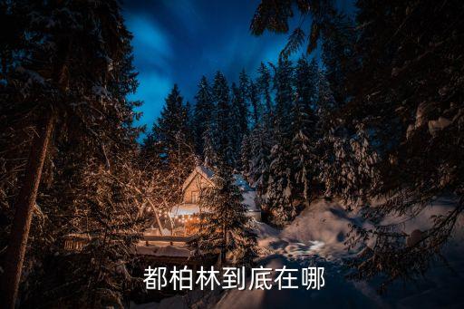 都柏林是在哪個(gè)半球,愛爾蘭人口普查:都柏林人口超過1.5萬