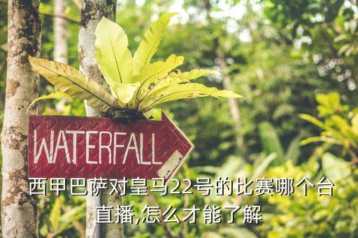 西甲德比哪個衛(wèi)視臺播,皇馬在伯納烏主場迎來巴薩、皇馬直播