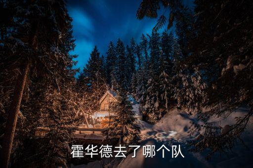  霍華德去了哪個隊