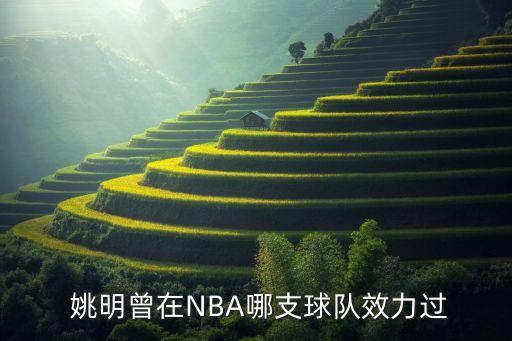 姚明在火箭打贏了哪個(gè)強(qiáng)隊(duì),籃球巨星姚明的職業(yè)生涯