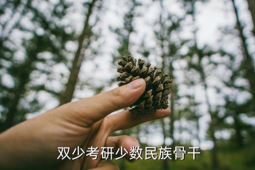 少干和雙少哪個好,少數(shù)民族骨干計劃:若沒熟人最好不要考雙少