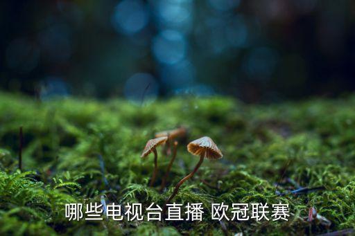 哪些電視臺(tái)直播 歐冠聯(lián)賽