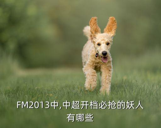 fm2013 哪個(gè)國(guó)家隊(duì)最強(qiáng),法爾考的得分沒(méi)有12分好