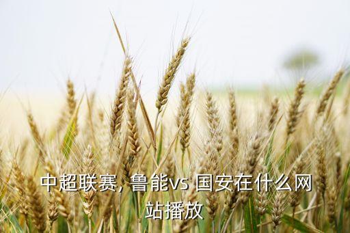 中超聯(lián)賽, 魯能vs 國安在什么網(wǎng)站播放
