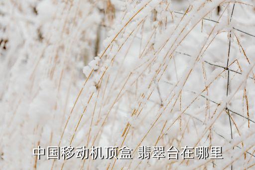 翡翠臺在哪個(gè)頻道,國內(nèi)網(wǎng)絡(luò)電視臺播出翡翠頻道可選擇關(guān)閉