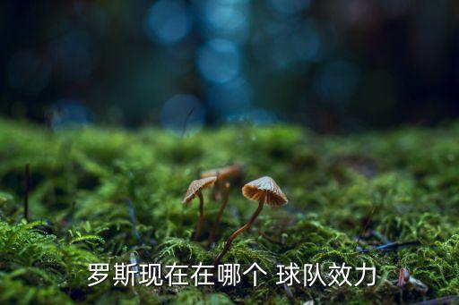羅斯現(xiàn)在在哪個球隊,快船需要羅斯?專家:他是板凳上得分旋風(fēng)