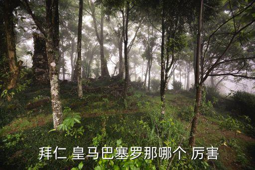  拜仁 皇馬巴塞羅那哪個 厲害