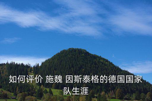 施魏因斯泰格哪個(gè)隊(duì),足壇雙冠王德國(guó)球星施魏因斯泰格