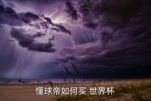 世界杯足彩哪個(gè)網(wǎng)站買,世界杯足球賽每四年舉行一次