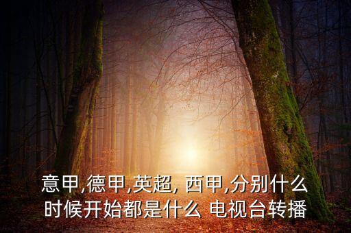 意甲,德甲,英超, 西甲,分別什么時(shí)候開始都是什么 電視臺(tái)轉(zhuǎn)播
