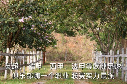 烏超和德甲哪個聯(lián)賽強(qiáng),歐冠米蘭在三強(qiáng)中突圍就是最好的證明