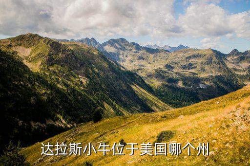 達(dá)拉斯小牛位于美國(guó)哪個(gè)州