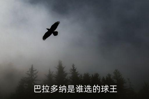 巴拉甲是哪個國家,二戰(zhàn)進攻國家:巴拉圭誰選小納當國王