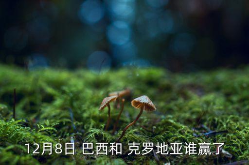 巴西vs克羅地亞哪個(gè)厲害,世界杯外圍賽:巴西擊敗克羅地亞