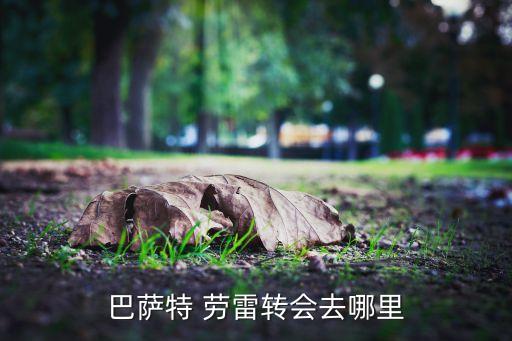 拉西納特勞雷在哪個(gè)隊(duì),科特迪瓦非洲杯勞雷正式轉(zhuǎn)會(huì)巴塞羅那隊(duì)