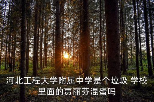 河北工程大學(xué)附屬中學(xué)是個垃圾 學(xué)校里面的賈麗芬混蛋嗎