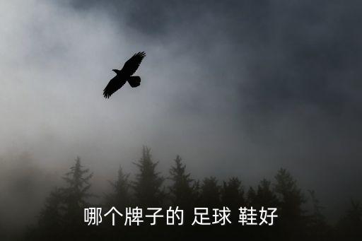 茵寶雙星哪個(gè)足球鞋好,中國十大品牌網(wǎng)查詢:耐克是其中之一