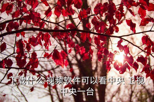 哪個視頻有衛(wèi)視直播,這些電視頻道從哪里看?