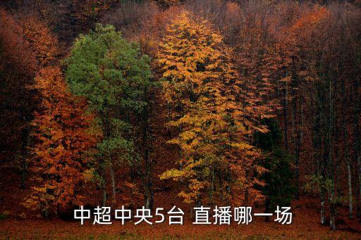  中超中央5臺(tái) 直播哪一場(chǎng)