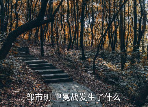 鄒市明 衛(wèi)冕戰(zhàn)發(fā)生了什么