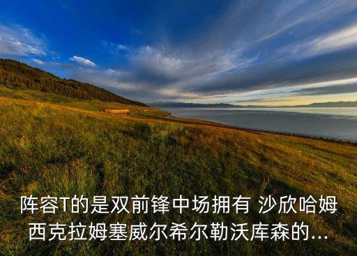陣容T的是雙前鋒中場(chǎng)擁有 沙欣哈姆西克拉姆塞威爾希爾勒沃庫(kù)森的...