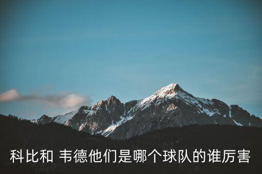 韋德在哪個(gè)隊(duì),nba沒(méi)有火箭隊(duì)球星湖人沒(méi)有nba球星