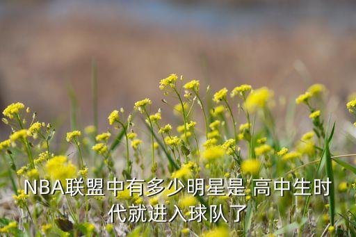 NBA聯(lián)盟中有多少明星是 高中生時(shí)代就進(jìn)入球隊(duì)了