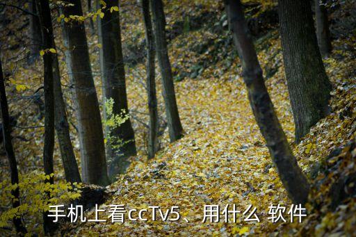 手機(jī)上看ccTv5、用什么 軟件