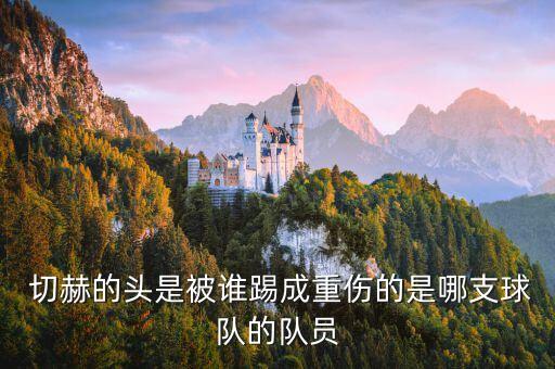 切赫的頭是被誰踢成重傷的是哪支球隊(duì)的隊(duì)員