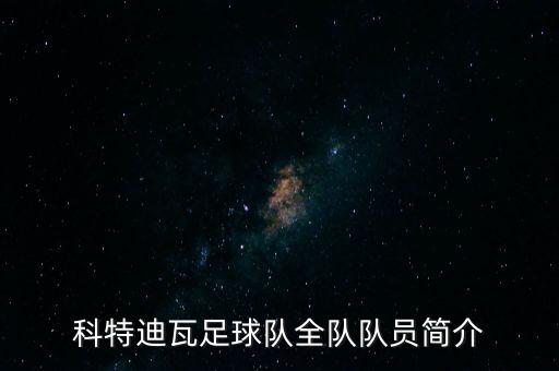科特迪瓦足球隊全隊隊員簡介