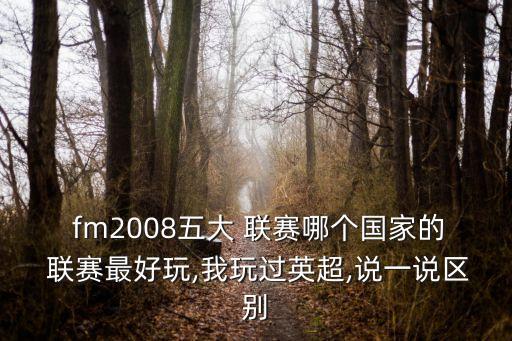  fm2008五大 聯(lián)賽哪個(gè)國家的 聯(lián)賽最好玩,我玩過英超,說一說區(qū)別