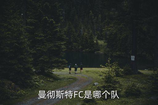 巴特隊哪個聯(lián)賽,足壇消息:曼聯(lián)92黃金一代將加盟南華足球隊