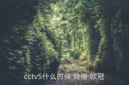 cctv5什么時候 轉(zhuǎn)播 歐冠