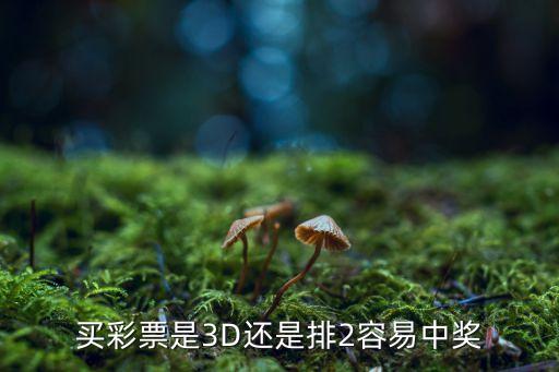 買彩票是3D還是排2容易中獎