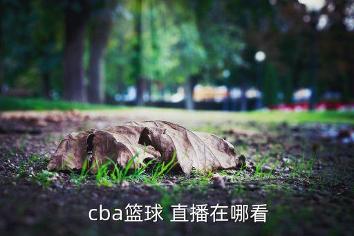 哪個網(wǎng)站直播cba直播嗎,nba新賽季