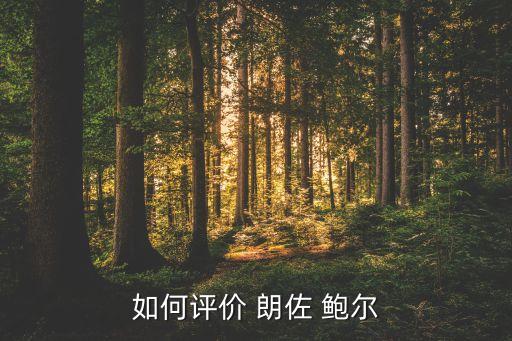 如何評價(jià) 朗佐 鮑爾